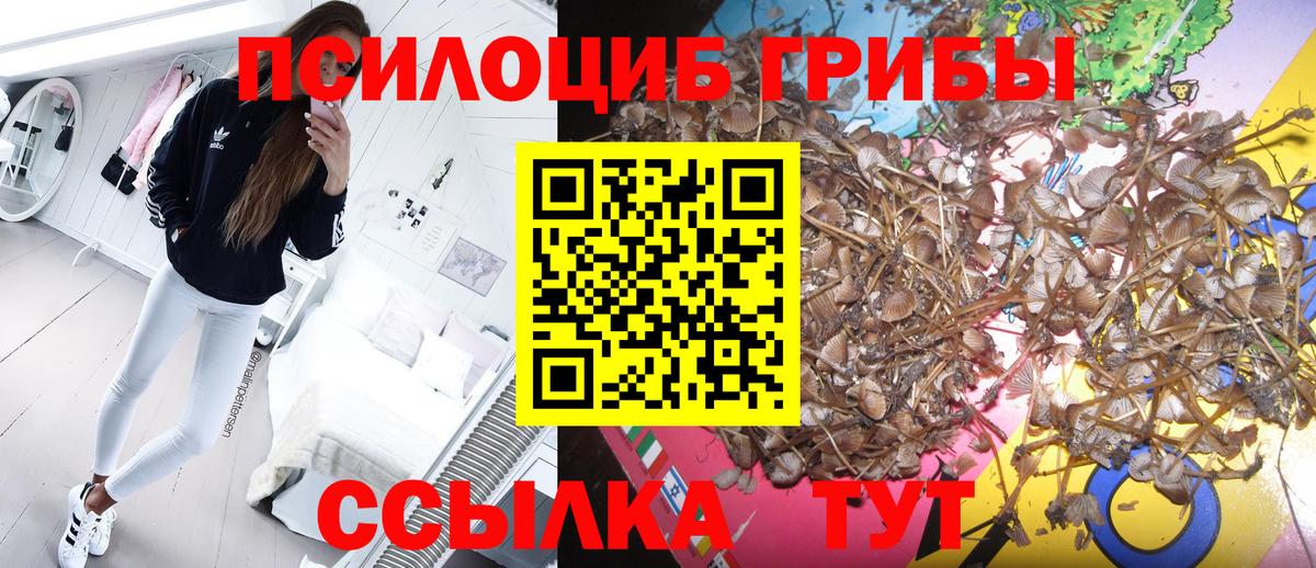 Галлюциногенные грибы мухоморы Лангепас