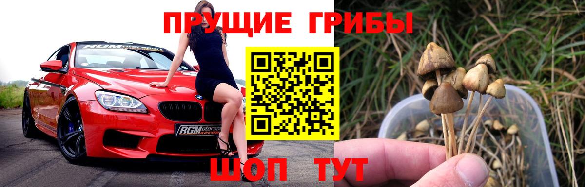 Псилоцибиновые грибы Psilocybine cubensis  Псилоцибиновые грибы Psilocybe  Вход с VPN  даркнет сайт  Лангепас 